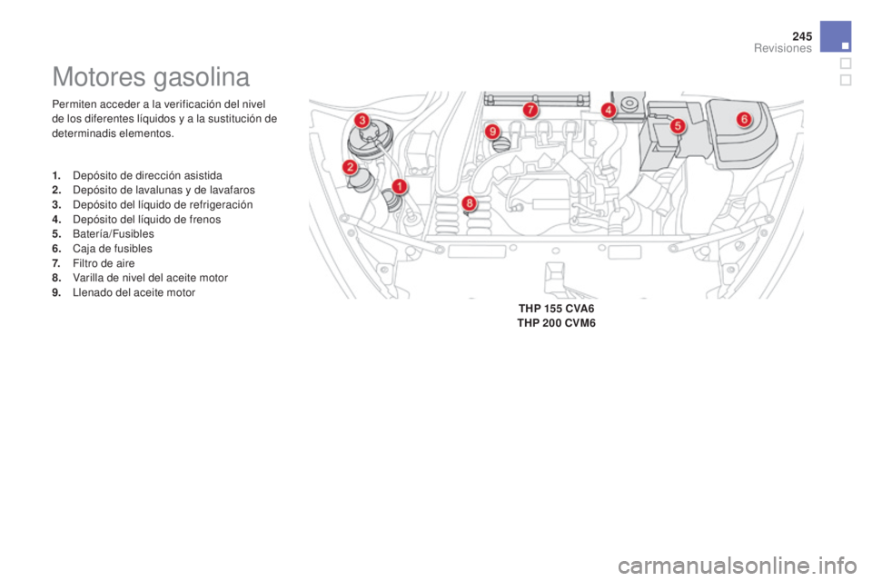 CITROEN DS5 2015  Manuales de Empleo (in Spanish) 245
DS5_es_Chap09_verifications_ed01-2015
Permiten acceder a la verificación del nivel 
de los diferentes líquidos y a la sustitución de 
determinadis elementos.
Motores gasolina
1. Depósito de di