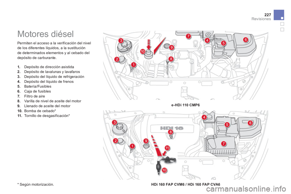 CITROEN DS5 2013  Manuales de Empleo (in Spanish) 227Revisiones
  Permiten el acceso a la verificación del nivel 
de los di
ferentes líquidos, a la sustitución
de determinados elementos y al cebado del
depósito de carburante.
   
* 
 
 Según mot