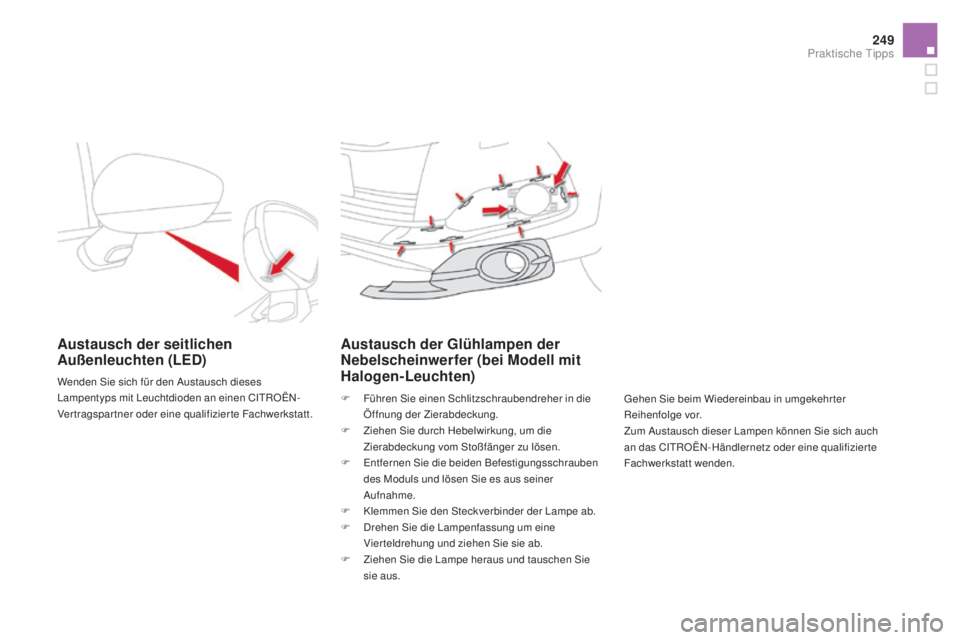 CITROEN DS4 2016  Betriebsanleitungen (in German) 249
DS4_de_Chap09_info-pratiques_ed03-2015
austausch der seitlichen außenleuchten (LED)
Wenden Sie sich für den Austausch dieses 
Lampentyps mit Leuchtdioden an einen CITROËN-
Vertragspartner oder 