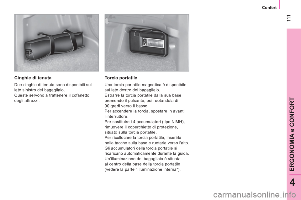 CITROEN NEMO 2013  Libretti Di Uso E manutenzione (in Italian)  111
4
ERGONOMIA e CONFORT
 
 
 
Confort  
 
 
 
Cinghie di tenuta 
 
Due cinghie di tenuta sono disponibili sul 
lato sinistro del bagagliaio. 
  Queste servono a trattenere il cofanetto 
degli attre