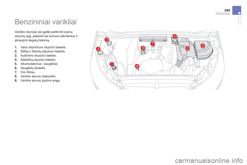 CITROEN DS4 2016  Eksploatavimo vadovas (in Lithuanian) 285
DS4_lt_Chap10_verifications_ed03-2015
Benzininiai varikliai
Variklio skyriuje jūs galite patikrinti įvairių 
skysčių lygį, pakeisti kai kuriuos elementus ir 
atnaujinti degalų tiekimą.
1.
