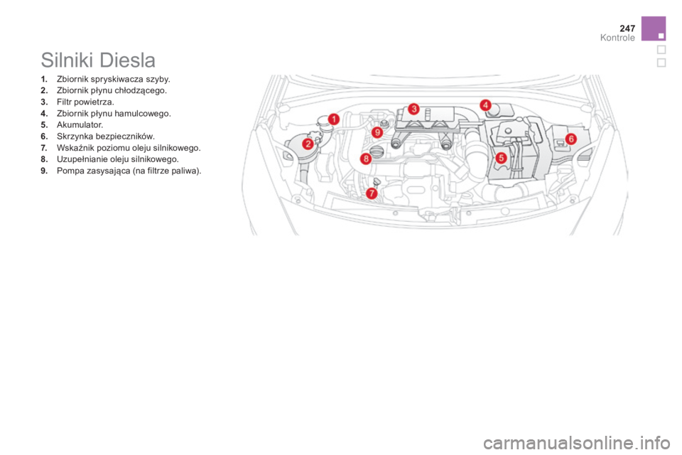 CITROEN DS3 2017  Instrukcja obsługi (in Polish) 247
DS3_pl_Chap09_verifications_ed02-2015
Silniki Diesla
1. Zbiornik spryskiwacza szyby.
2. Zb iornik płynu chłodzącego.
3.
 Fi

ltr powietrza.
4.
 Zb

iornik płynu hamulcowego.
5.
 Aku

mulator.
