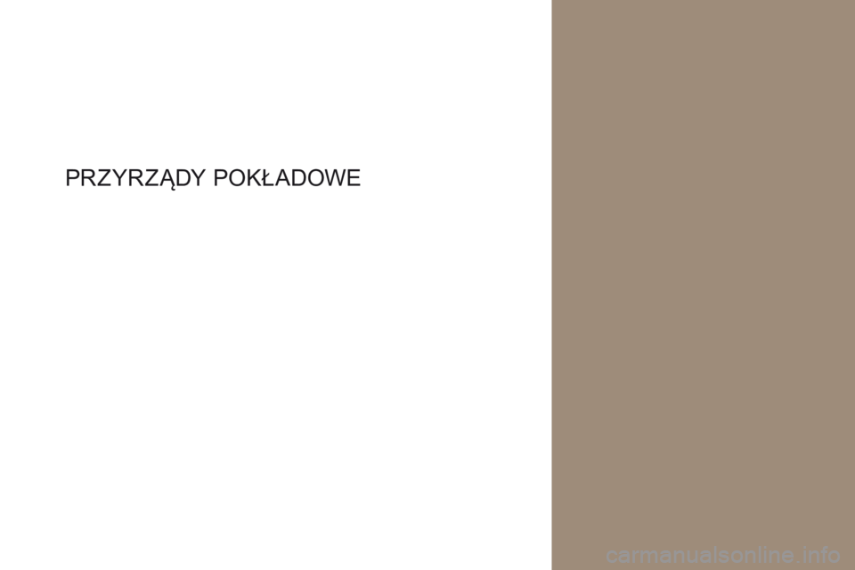 CITROEN DS4 2017  Instrukcja obsługi (in Polish) DS4_pl_Chap01_instruments-de-bord_ed01-2016
PRZyRZąDy P OKŁADOWE  